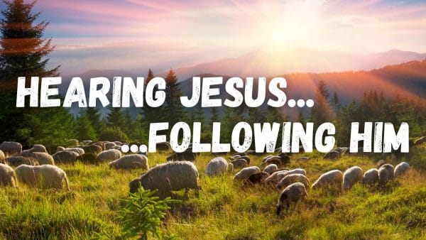 Community Sunday Sheep & Shepherds Image