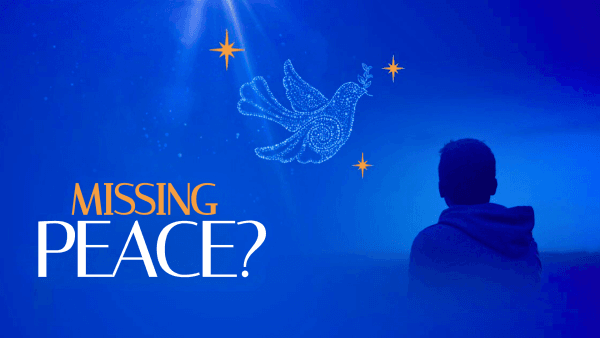 Where Is The Peace We Were Promised? Image